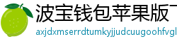 波宝钱包苹果版下载